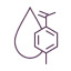 Paraben Free Icon