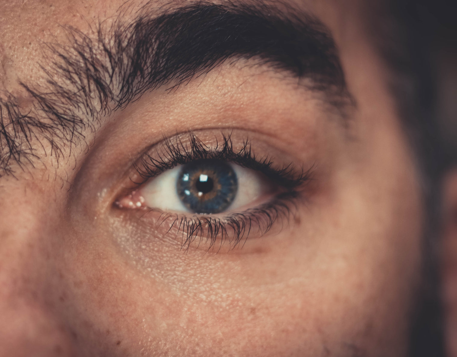Close-up of a blue eye showing long natural eyelashes, thick eyebrow, and skin texture in soft light