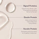 LASH and BROW Dual System