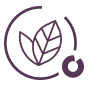 Icon image for Nulastin's Vegan Certification