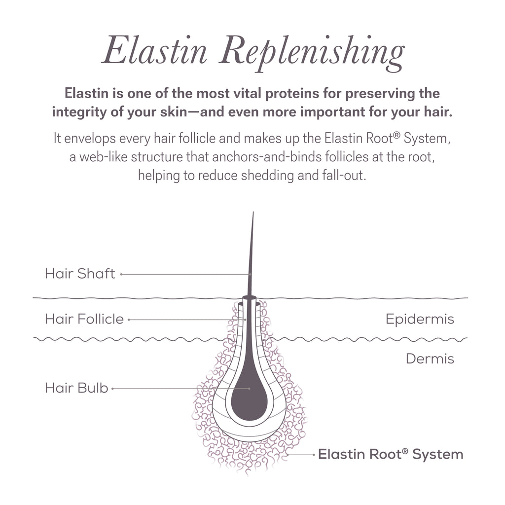 LASH and BROW Dual System